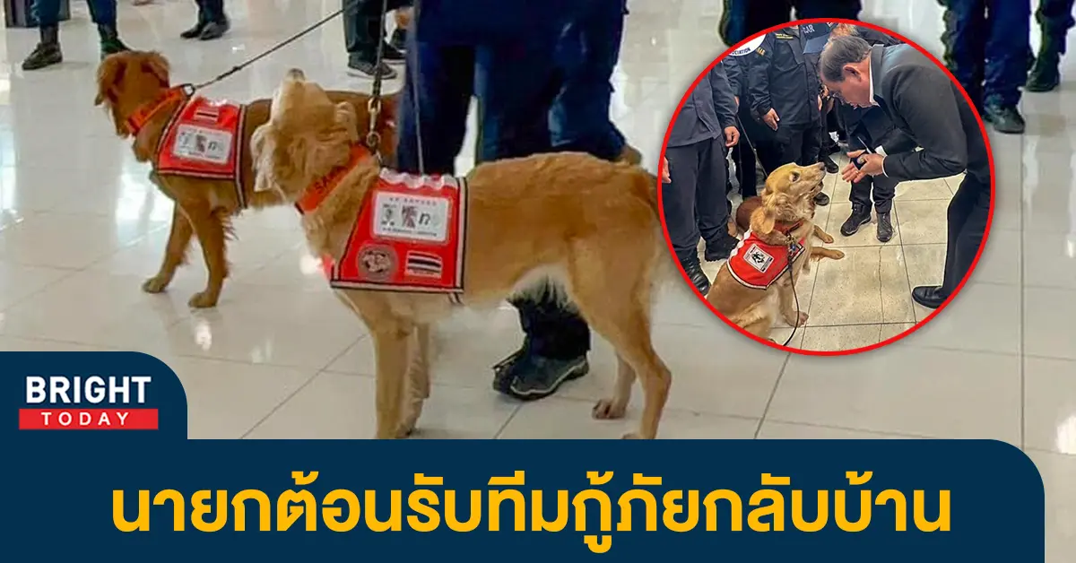 5หมากู้ภัย-1