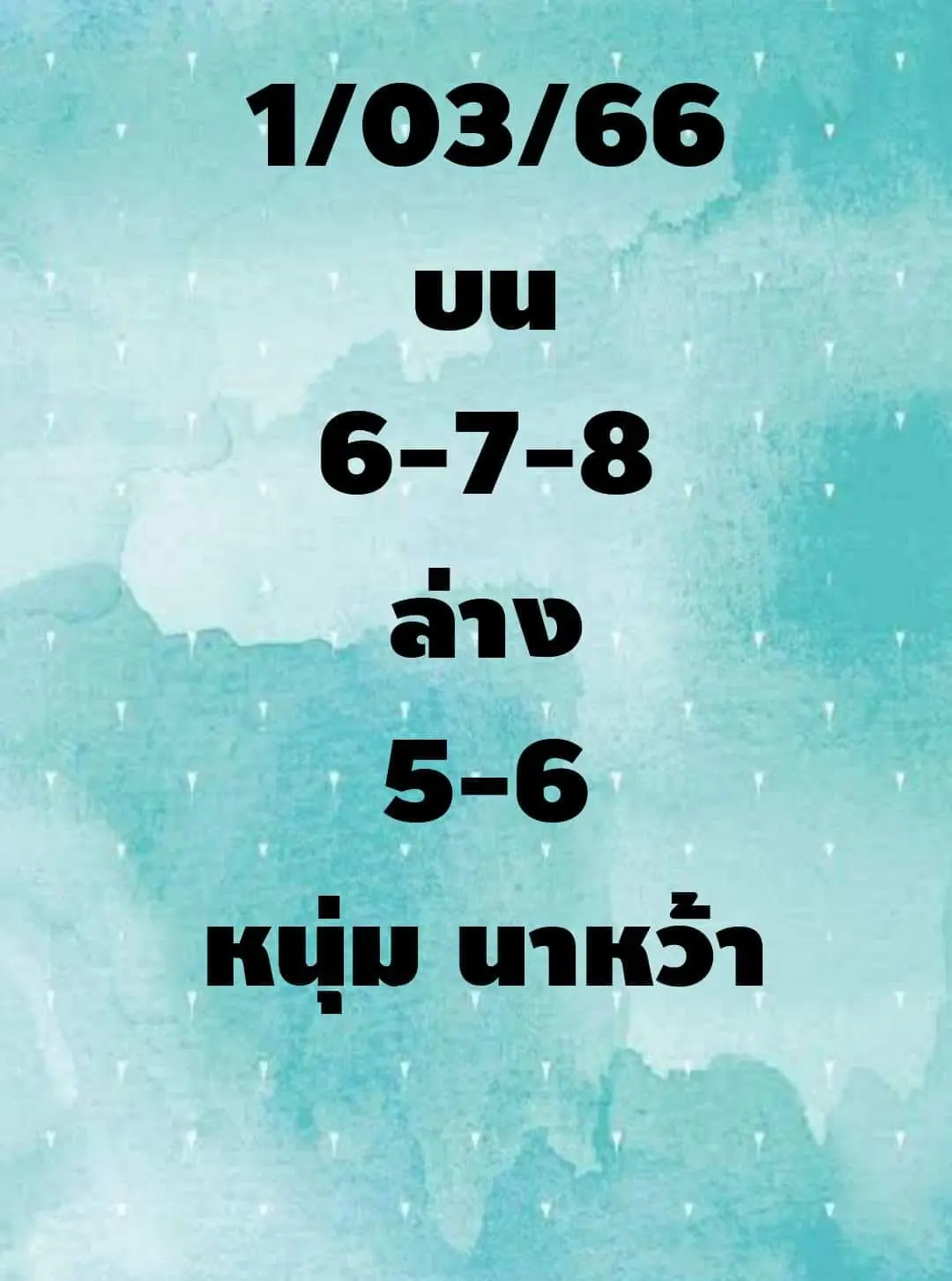 -1-3-66