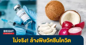 ล้างพิศโควิด