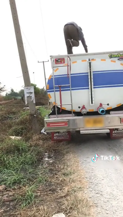 รถดูดส้วม-4