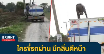 รถดูดส้วม