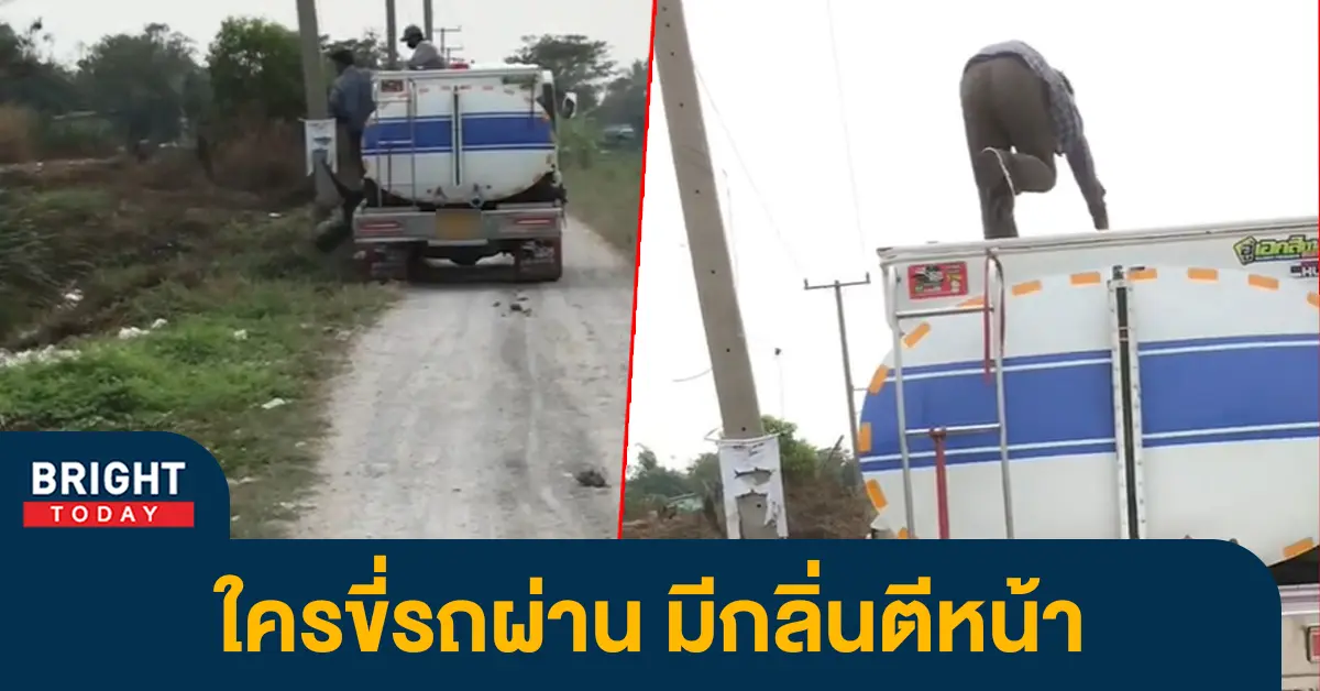 รถดูดส้วม