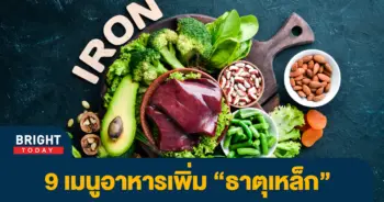ธาตุเหล็ก