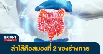 ลำไส้