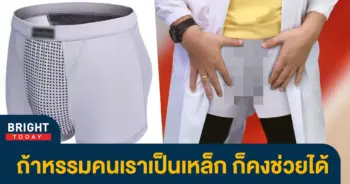 กางเกงในแม่เหล็ก