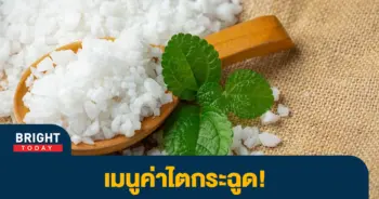 ไต