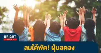 ฝุ่นลด