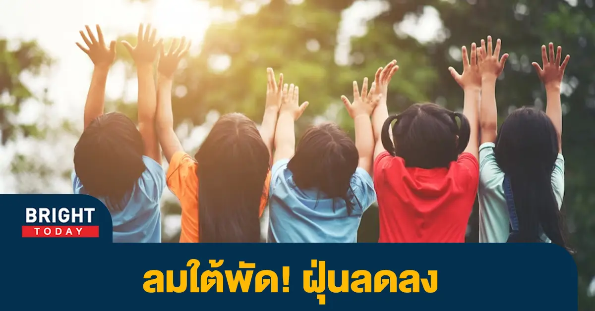 ฝุ่นลด