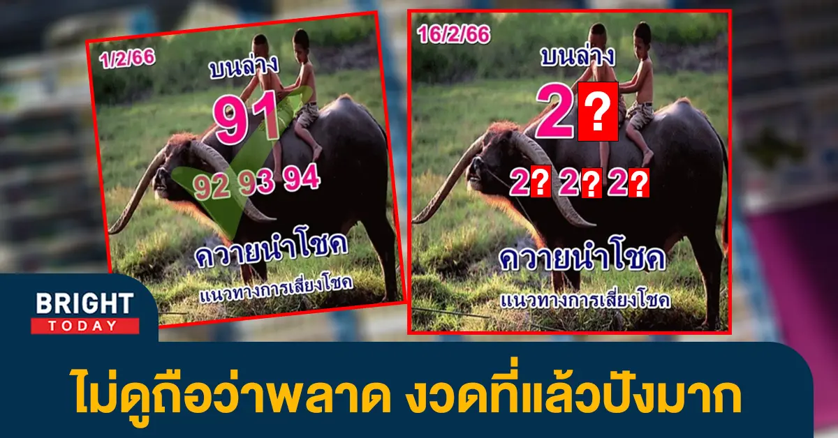 เลขเด็ดเลขดัง-หวยความนำโชค-16-2-66-หวยงวดนี้-2