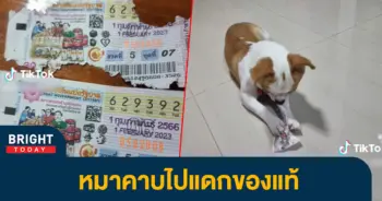 ถูกลอตเตอรี่
