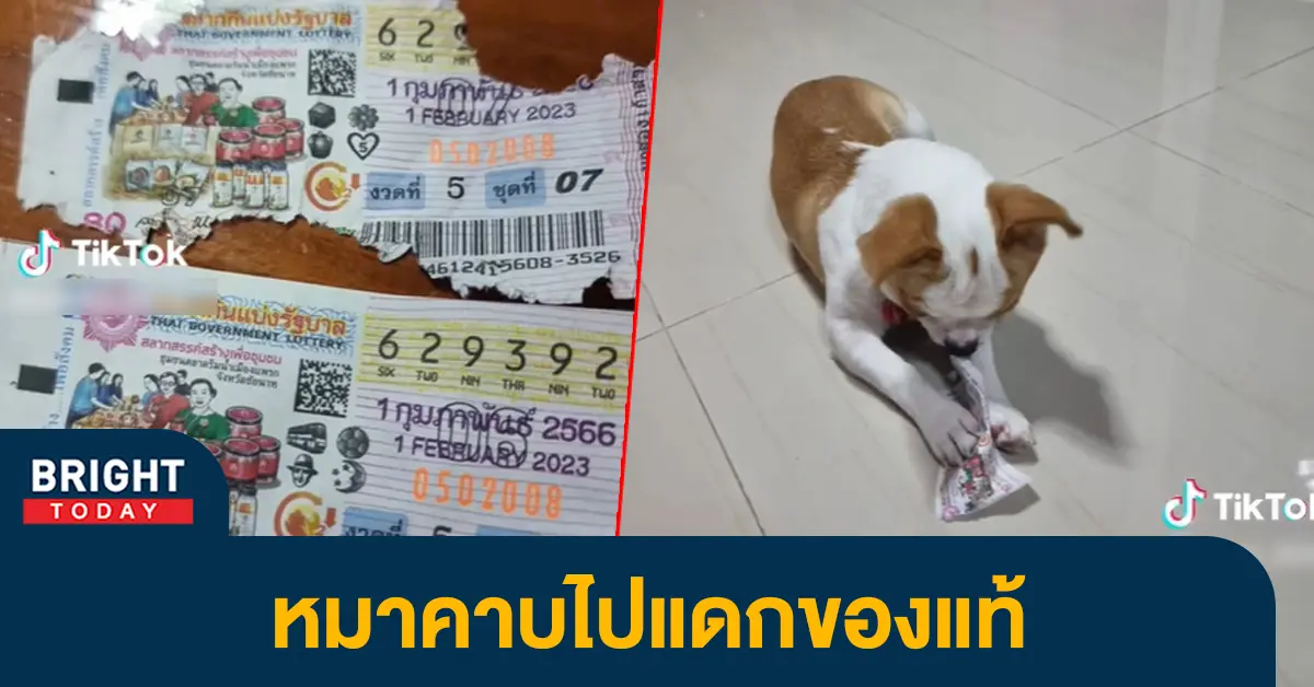 ถูกลอตเตอรี่