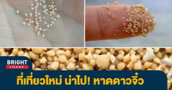 ดาว