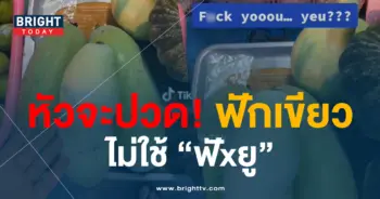 ฟักเขียว