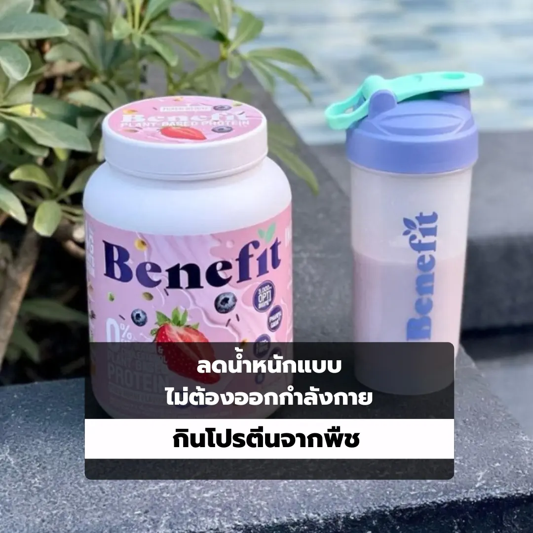 โปรตีนพืช