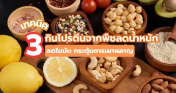 กินโปรตีนจากพืชลดน้ำหนัก