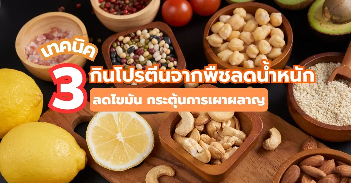 กินโปรตีนจากพืชลดน้ำหนัก