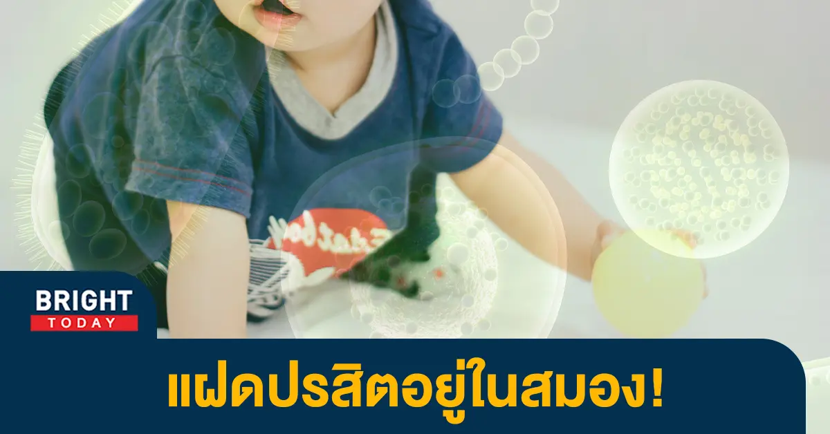 หน้าปกไบรท์-แฝดปรสิต