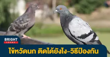 .jpg