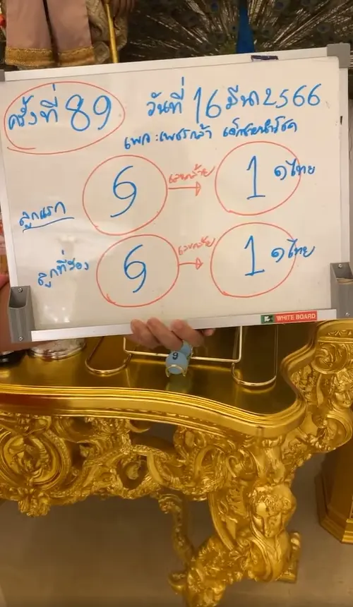 หวยไทย-16-3-66-ปิงปองน้องเพชรกล้า-เลขเด็ด-หวยรัฐบาล-2-1