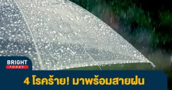 โรคหน้าฝน