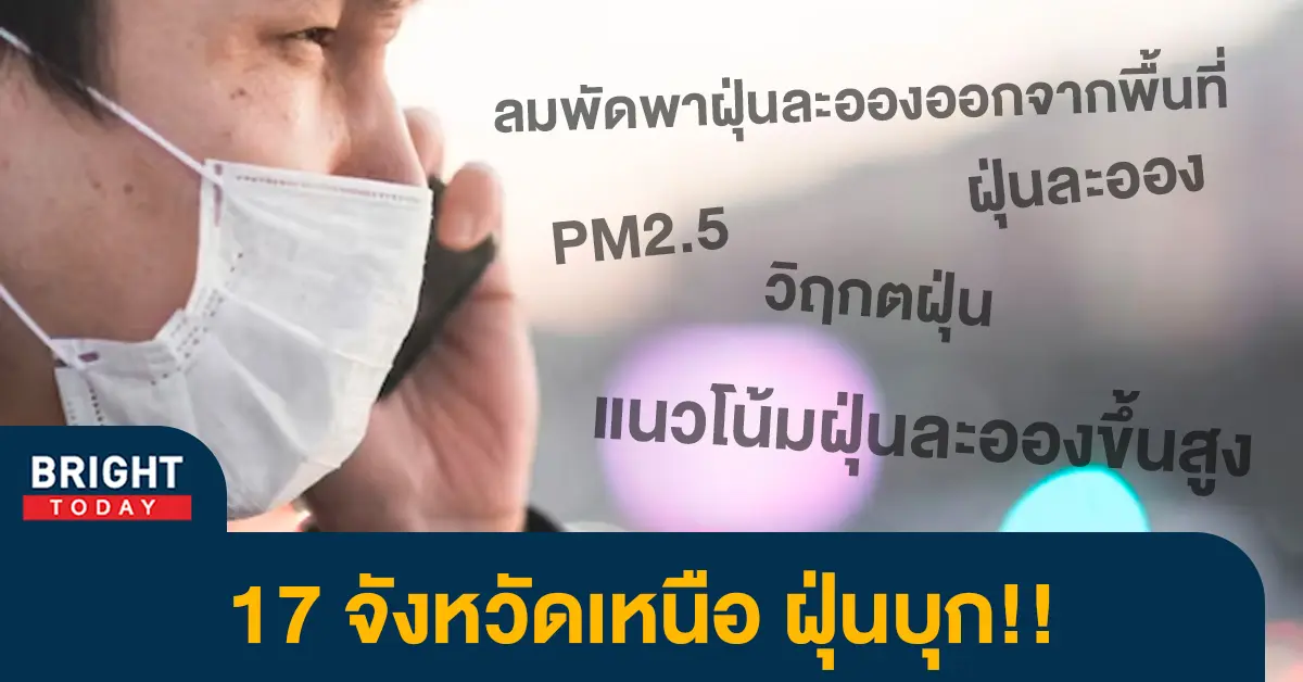 5ฝุ่น
