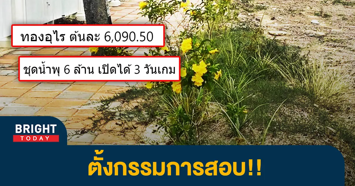 1ต้นทองอุไร