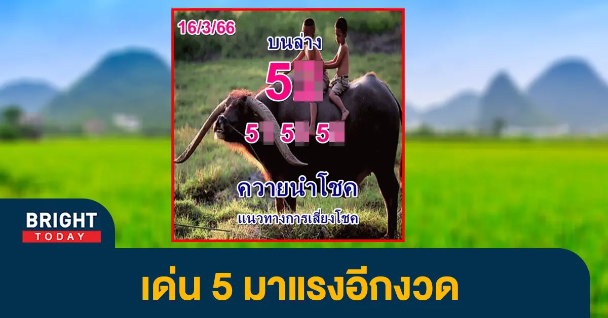หวยควายนำโชค-16-3-66-เลขเด็ด-หวยงวดนี้-1