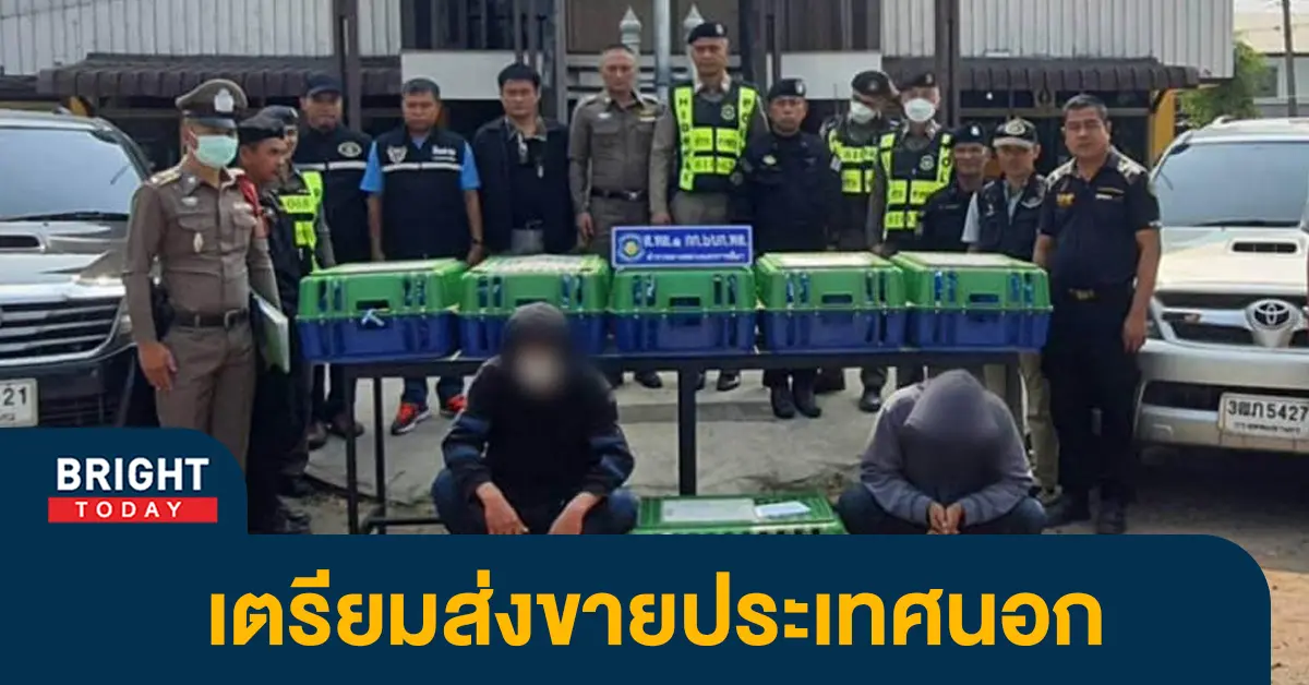 หน้าปกไบรท์-แก๊งค้าลิงข้ามชาติ