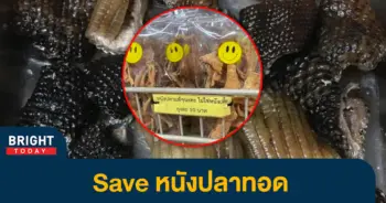 5หนังปลาทอด