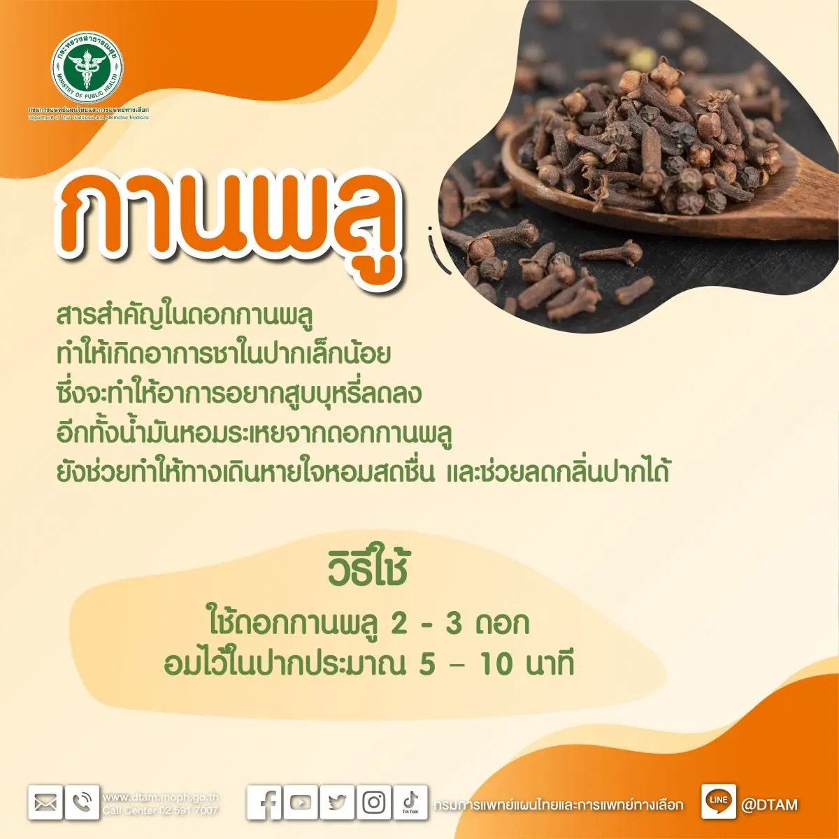 กานพลู