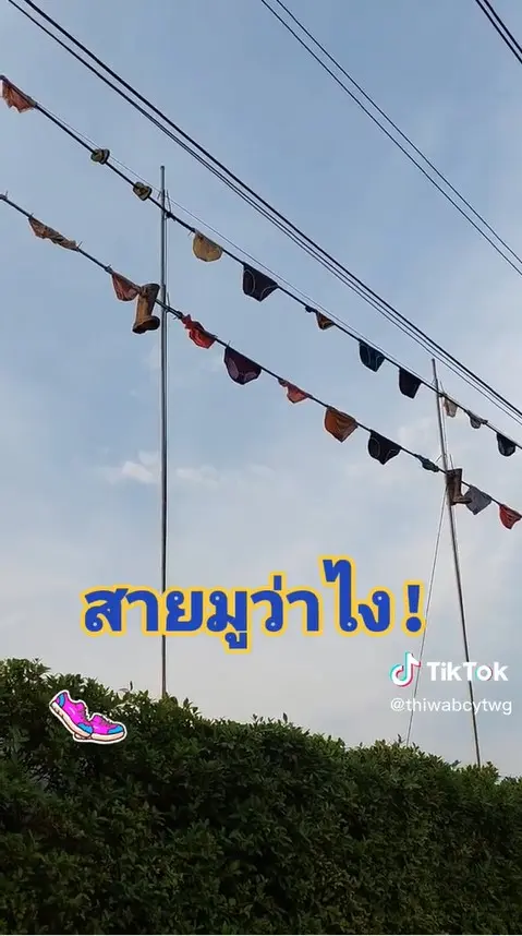 .jpg