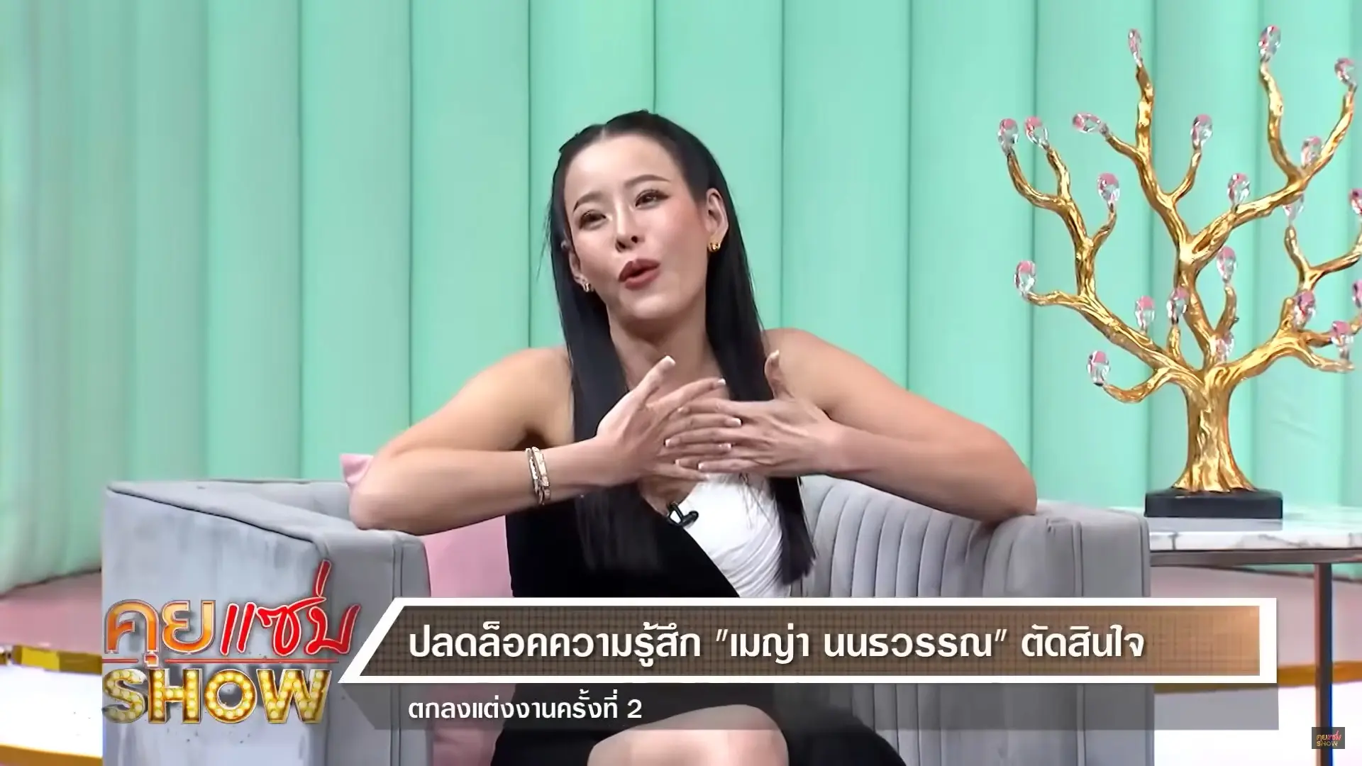 เมญ่า-1-1