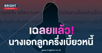 ดาราลูกครึ่ง