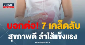 ลำไส้
