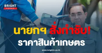 ราคาสินค้า