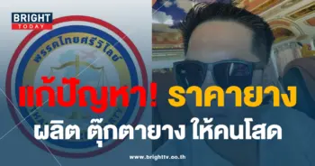 ตุ๊กตายาง
