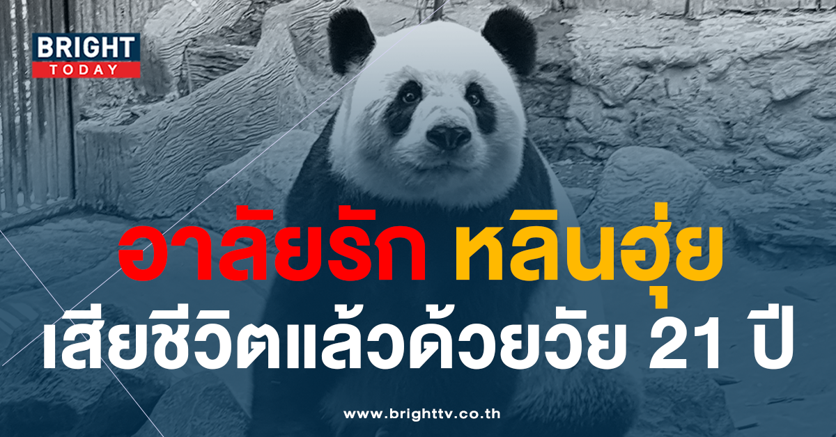 หลินฮุ่ย