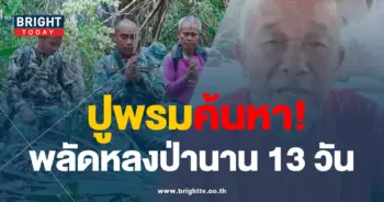 ตาหลงป่า