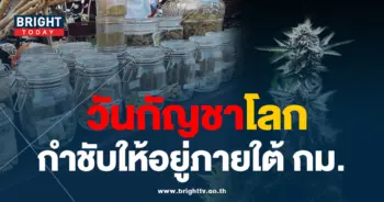 กัญชา