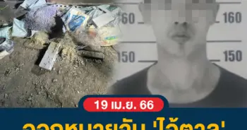 ไอ้ตาล