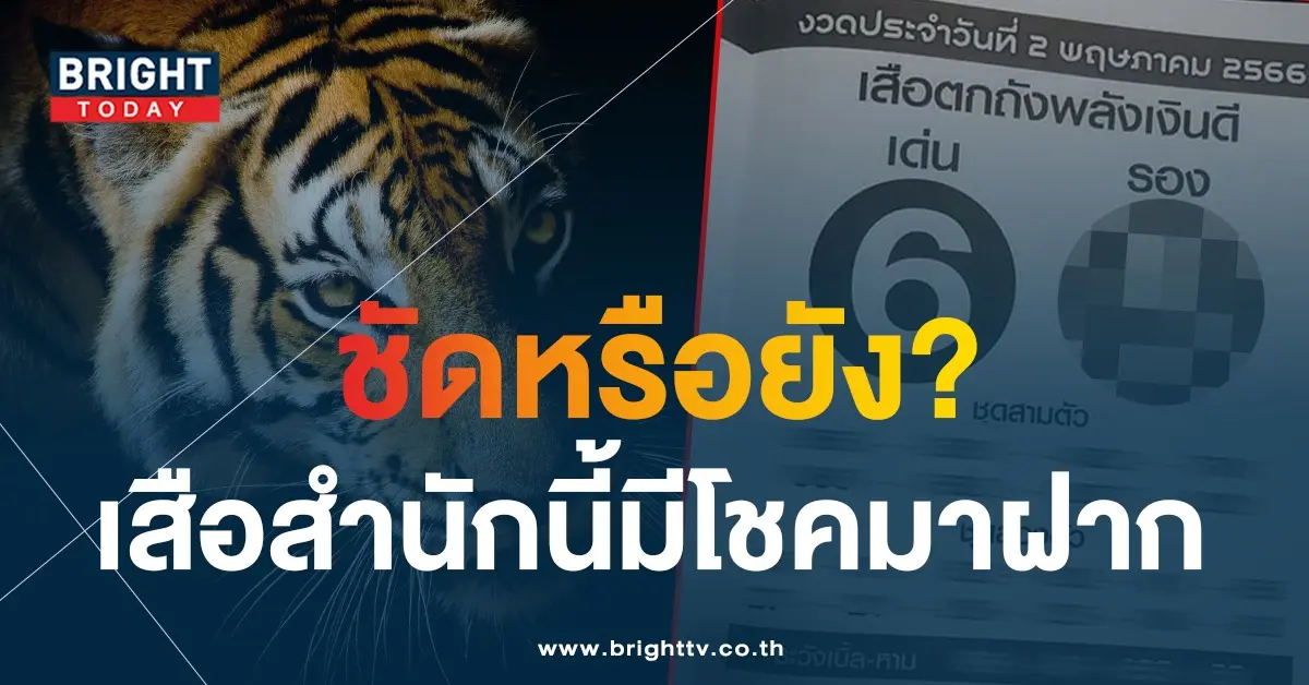 เลขเด็ด-2-5-66-เสือตกถังพลังเงินดี
