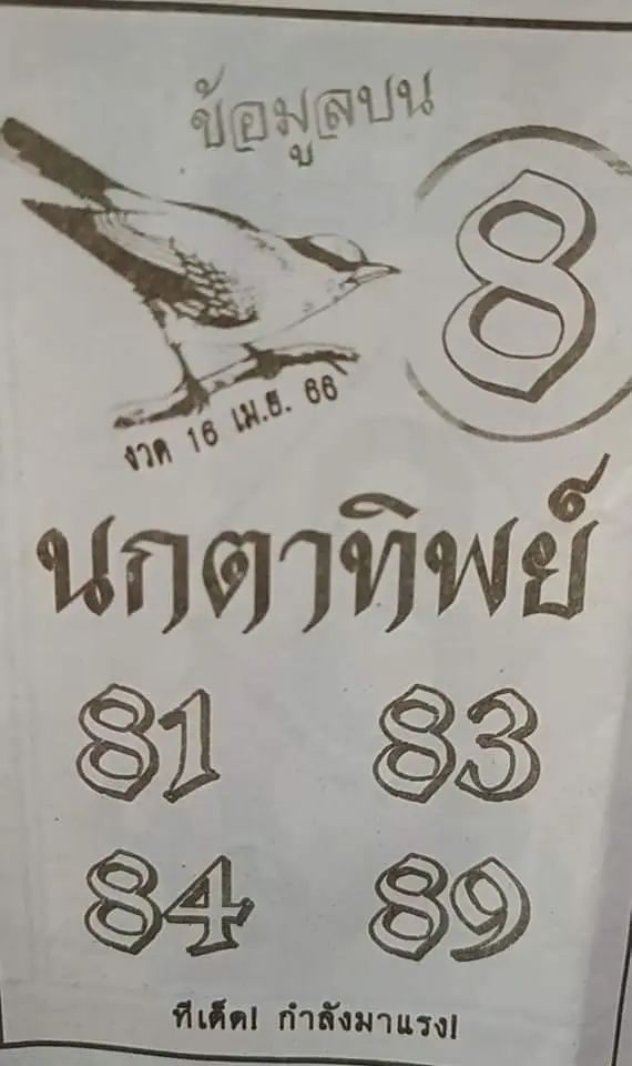 นกตาทิพย์-16-4-66-1