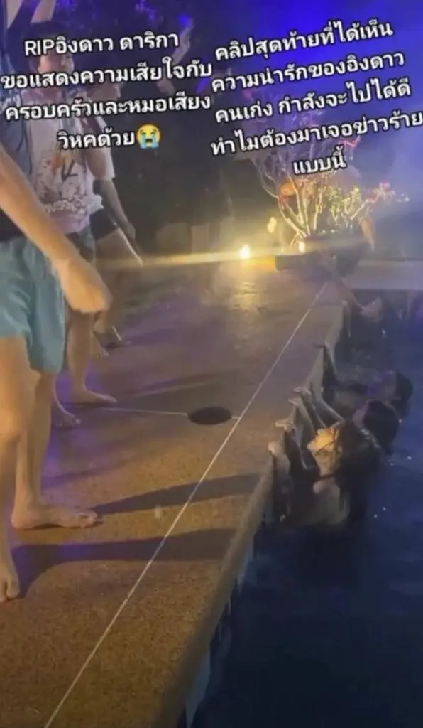 อิงดาว-ดุจดาริกา-3-1