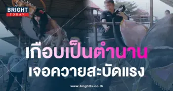 นัท-นิสามณี
