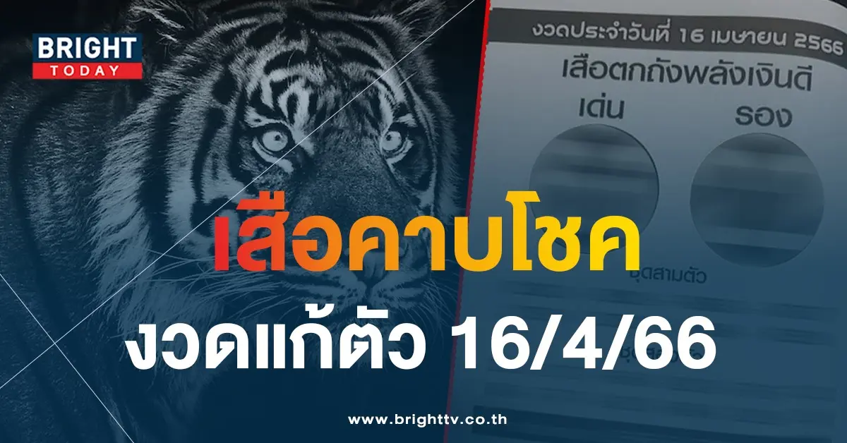เสือตกถังพลังเงินดี-เลขเด็ด-16-4-66