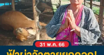 ฟ้าผ่า