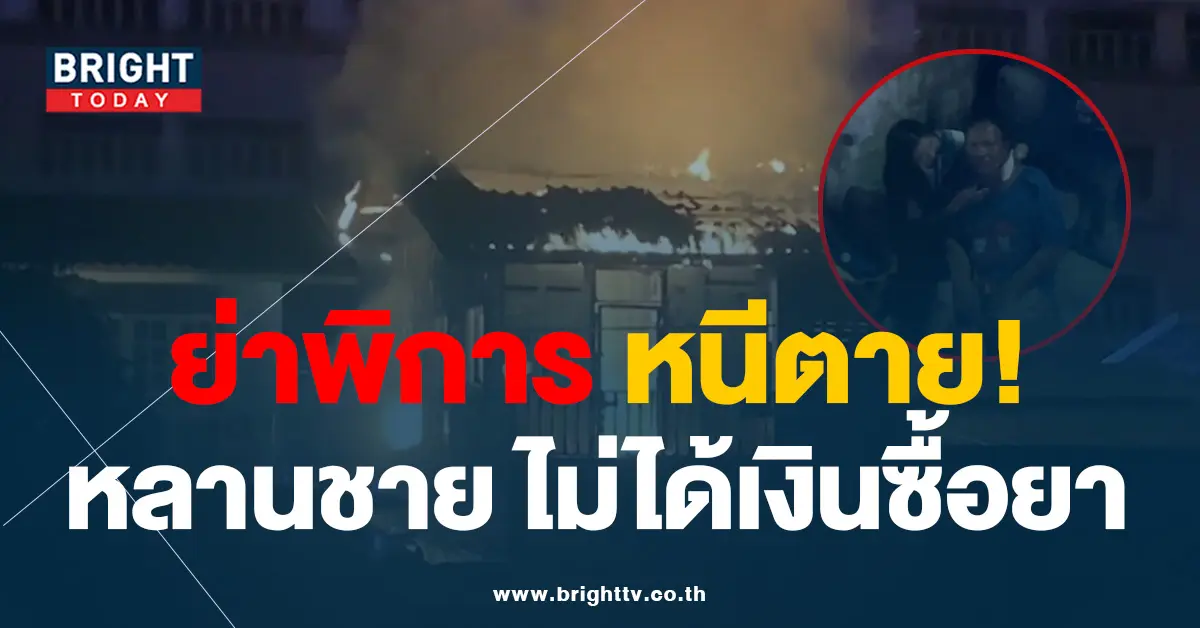 ย่าพิการ