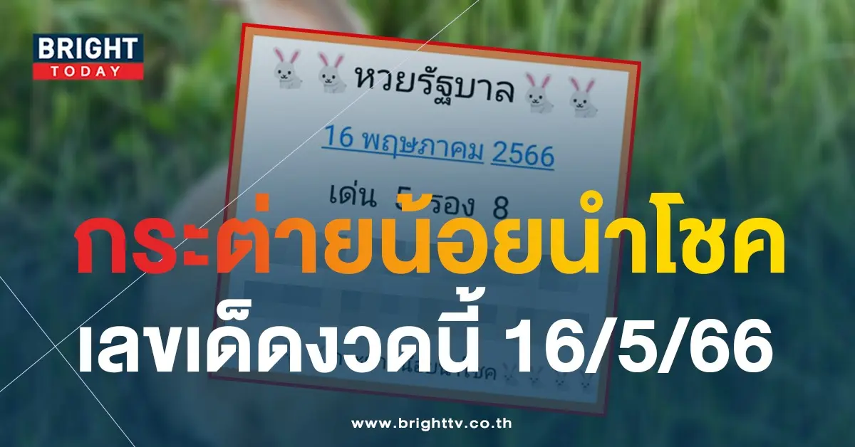 เลขเด็ด-กระต่ายน้อยนำโชค-16-5-66-1
