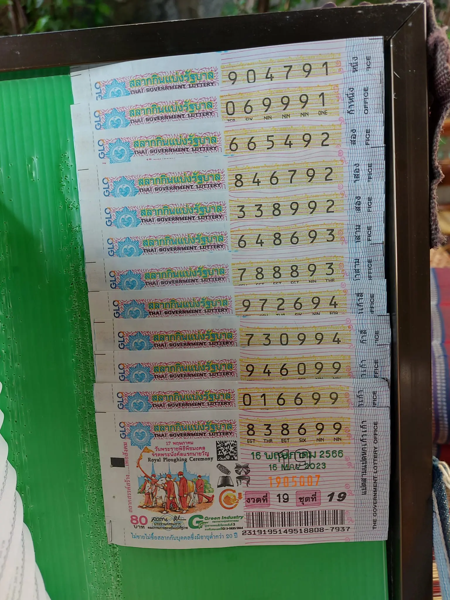344801572 618577236541717 297809297279998229 n