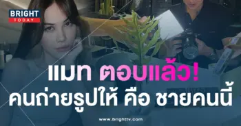 ปกแมท
